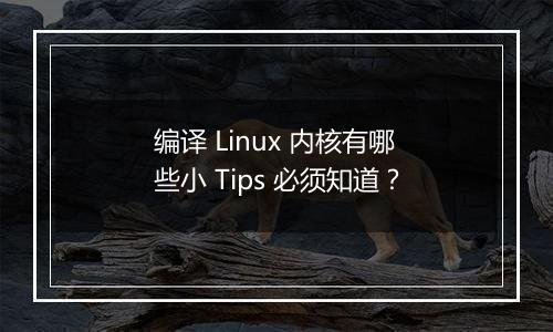 编译 Linux 内核有哪些小 Tips 必须知道?