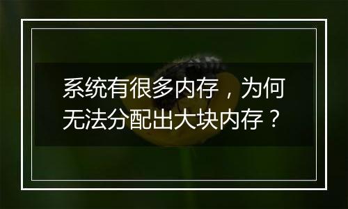 系统有很多内存,为何无法分配出大块内存?