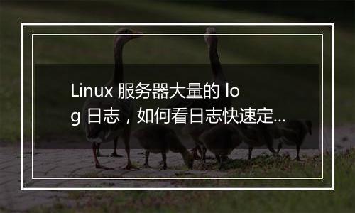 Linux 服务器大量的 log 日志，如何看日志快速定位错误？
