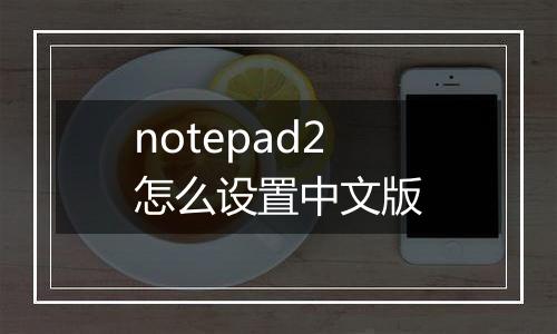 notepad2怎么设置中文版