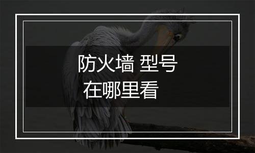 防火墙 型号 在哪里看