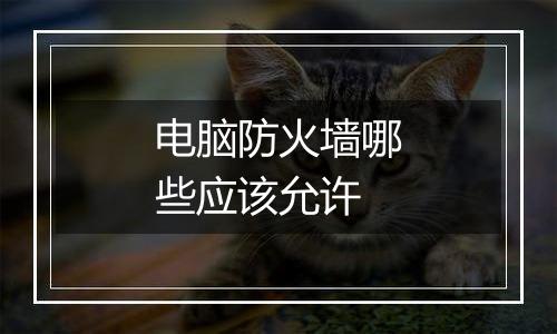 电脑防火墙哪些应该允许