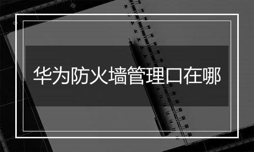 华为防火墙管理口在哪