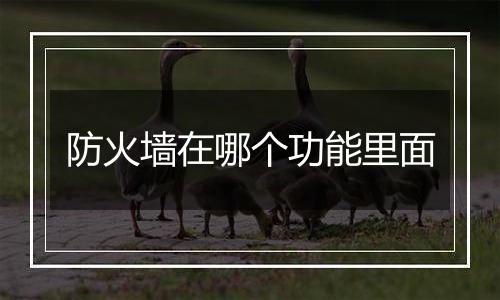 防火墙在哪个功能里面