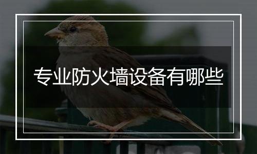 专业防火墙设备有哪些