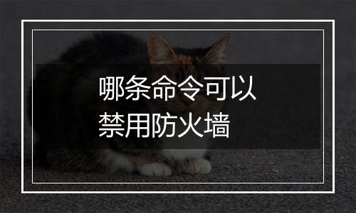 哪条命令可以禁用防火墙