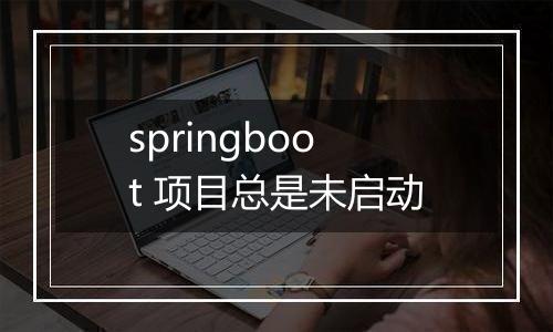 springboot 项目总是未启动