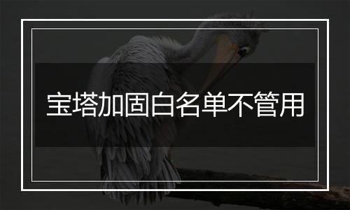 宝塔加固白名单不管用