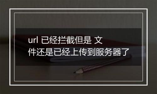 url 已经拦截但是 文件还是已经上传到服务器了