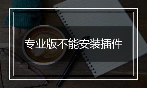 专业版不能安装插件
