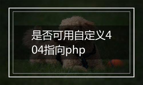 是否可用自定义404指向php