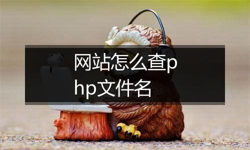 网站怎么查php文件名