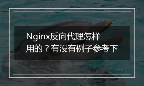 Nginx反向代理怎样用的？有没有例子参考下