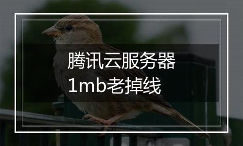 腾讯云服务器1mb老掉线