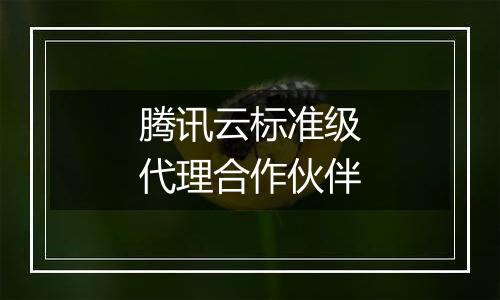 腾讯云标准级代理合作伙伴
