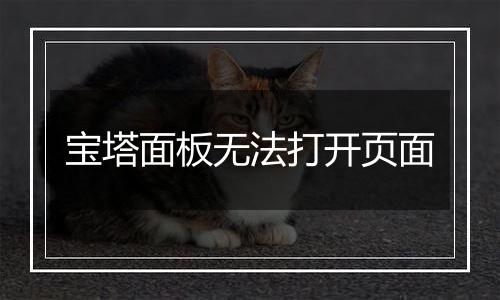 宝塔面板无法打开页面