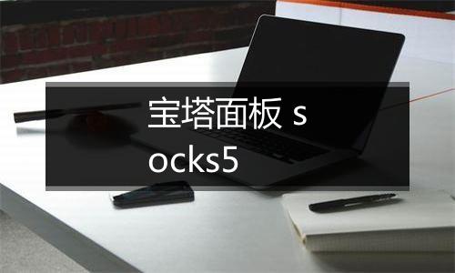 宝塔面板 socks5