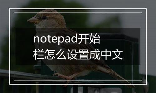 notepad开始栏怎么设置成中文