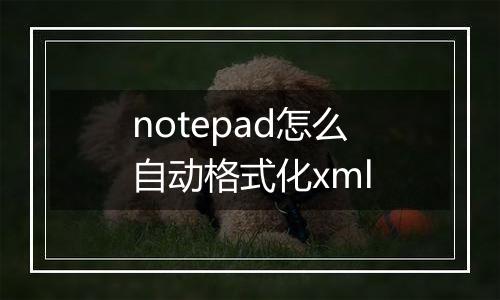 notepad怎么自动格式化xml
