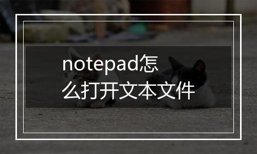 notepad怎么打开文本文件