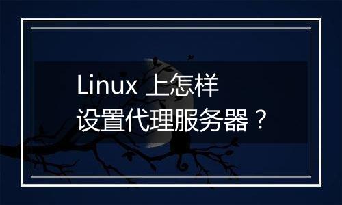 Linux 上怎样设置代理服务器?