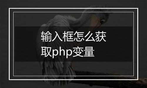输入框怎么获取php变量