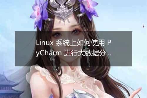 Linux 系统上如何使用 PyCharm 进行大数据分析?