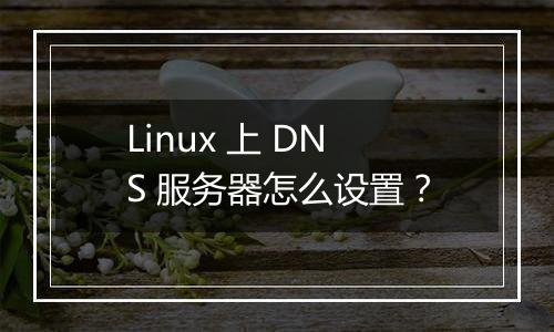 Linux 上 DNS 服务器怎么设置?