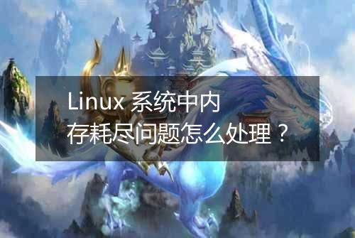 Linux 系统中内存耗尽问题怎么处理?