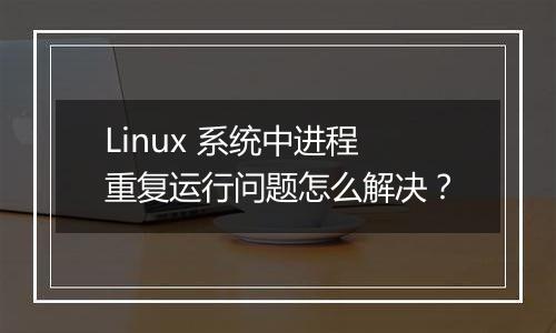 Linux 系统中进程重复运行问题怎么解决?