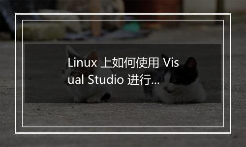 Linux 上如何使用 Visual Studio 进行物联网可视化开发?