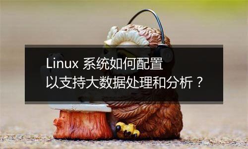 Linux 系统如何配置以支持大数据处理和分析?