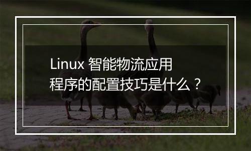 Linux 智能物流应用程序的配置技巧是什么?