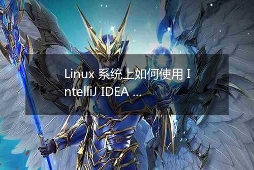 Linux 系统上如何使用 IntelliJ IDEA 进行区块链开发?