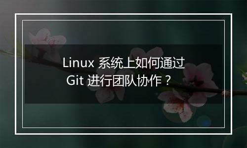 Linux 系统上如何通过 Git 进行团队协作?