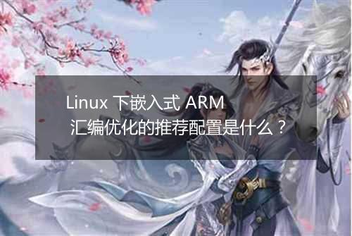 Linux 下嵌入式 ARM 汇编优化的推荐配置是什么?
