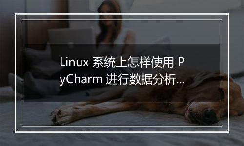 Linux 系统上怎样使用 PyCharm 进行数据分析?