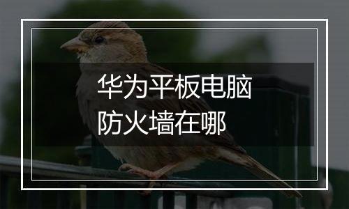 华为平板电脑防火墙在哪