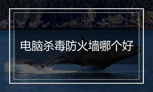 电脑杀毒防火墙哪个好