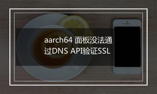 aarch64 面板没法通过DNS API验证SSL