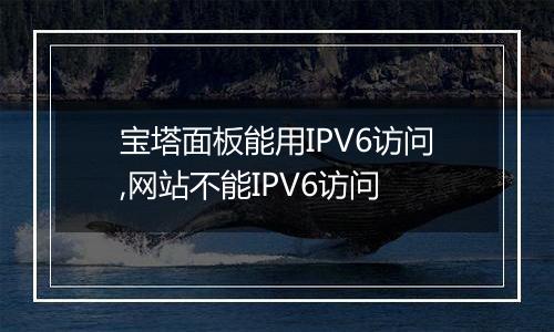 宝塔面板能用IPV6访问,网站不能IPV6访问