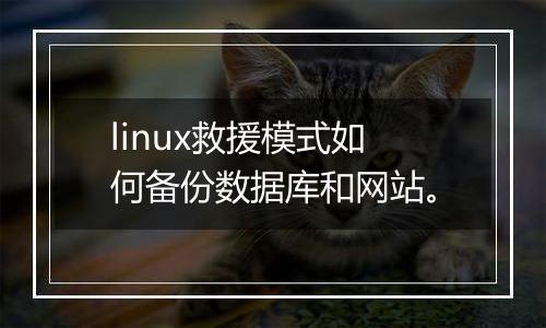linux救援模式如何备份数据库和网站。