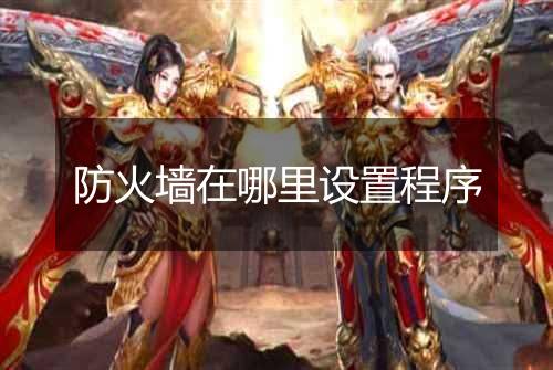 防火墙在哪里设置程序