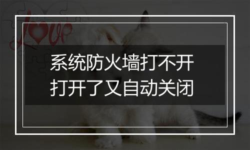 系统防火墙打不开 打开了又自动关闭