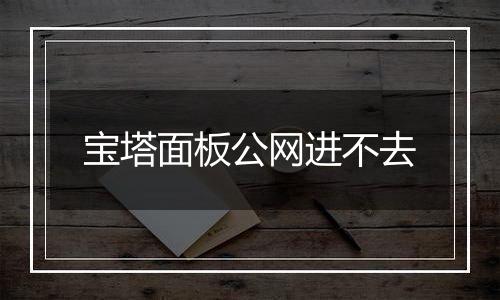 宝塔面板公网进不去