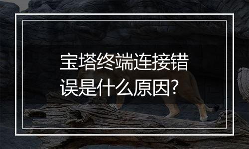 宝塔终端连接错误是什么原因?