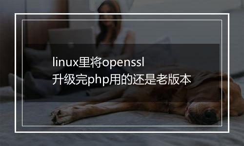 linux里将openssl升级完php用的还是老版本