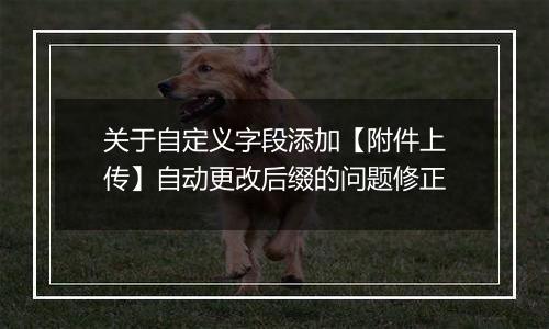 关于自定义字段添加【附件上传】自动更改后缀的问题修正