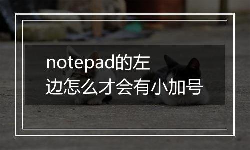 notepad的左边怎么才会有小加号