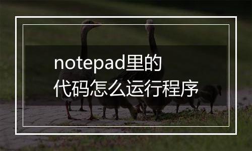 notepad里的代码怎么运行程序